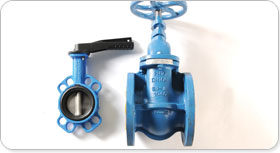 Cast Iron Valves